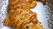 Krokodýl