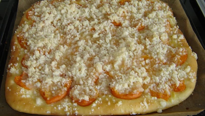 Kynutý meruňkový táč