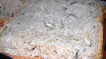 Lehounký pšenično-žitný chleba