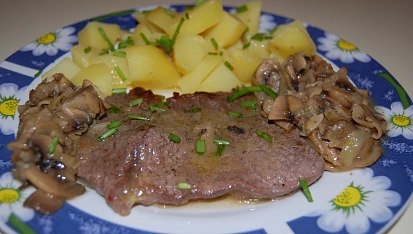 Myslivecké roštěnky, Myslivecké roštěnky