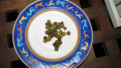 Omáčka k steakům