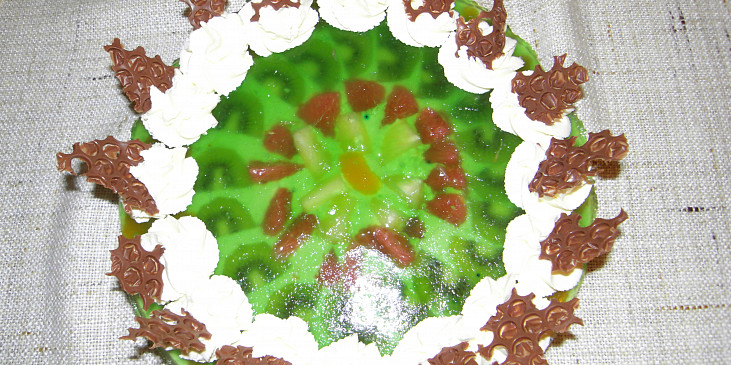 Ovocno-tvarohový dort (ještě jeden pohled na dortík)
