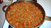 Ropa Vieja - Staré šaty