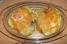 Sloní ouška