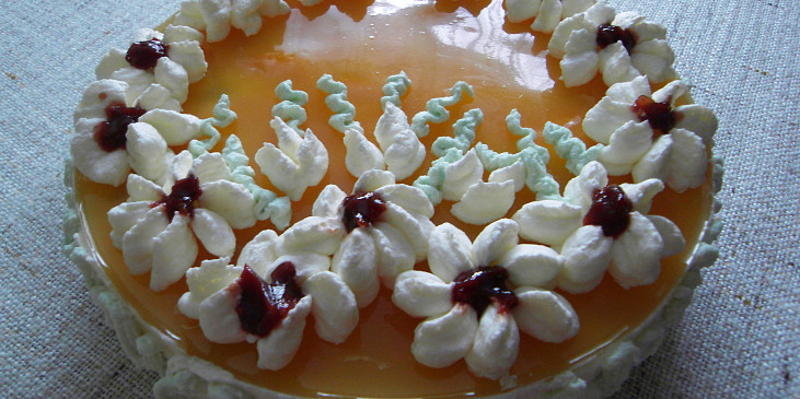 Tvarohový dort - nepečený (tvarohový dortík)