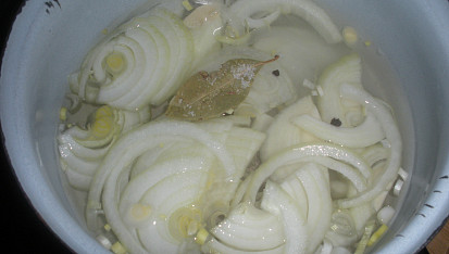 Cibulový salát
