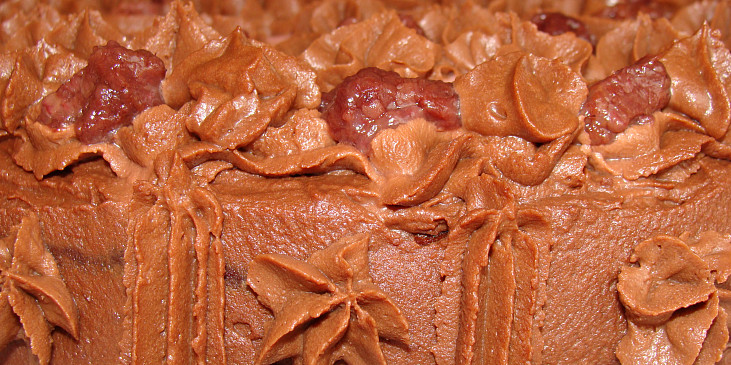Čokoládový dort s borůvkami (Zblízka)