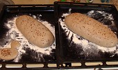 Domácí chléb vhodný i na Jendův Plecovník, Celožitný chléb posypaný lněným semínkem