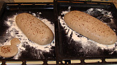 Domácí chléb vhodný i na Jendův Plecovník, Celožitný chléb posypaný lněným semínkem