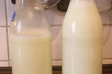srvatka (syrovatka)