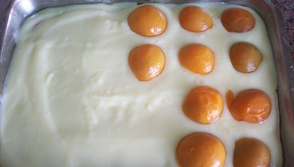 Moučník pro nenáročné, poklademe meruňkama