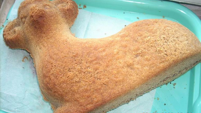Ořechový beránek, bábovka, dort