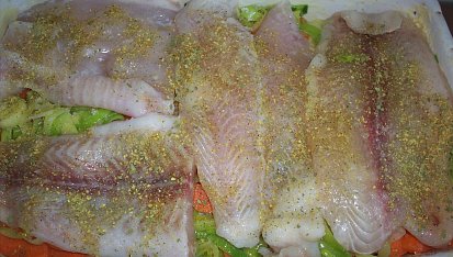 Pangasius ze Švédska