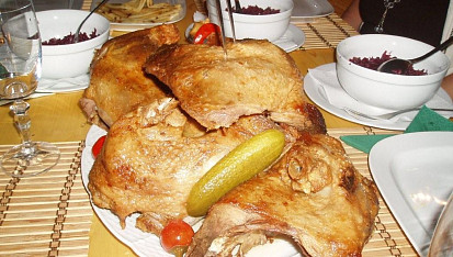 Pečená husa