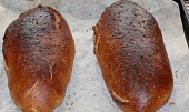 Plecovník, první kváskový chléb