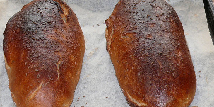 Plecovník (první kváskový chléb)