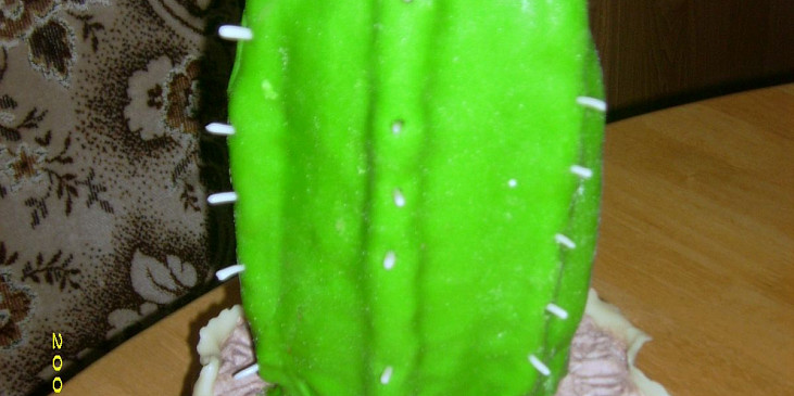 Sladký kaktus