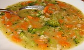 Vydatná mrkvová polévka s vločkami - i pro nejmenší (Hotová polévka)