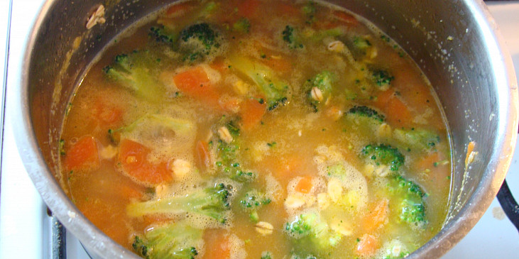 Vydatná mrkvová polévka s vločkami - i pro nejmenší (Po přidání brokolice a vloček)