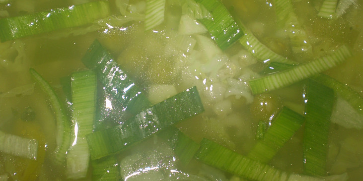 Zelená česneková polévka (detail polévky)