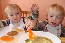 Mláďátka při jídle