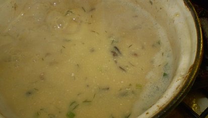 Houbovo-smetanová polévka se sýrem a koprem, Houbovo-smetanová polévka se sýrem a  koprem