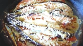 Lilkový  vějíř