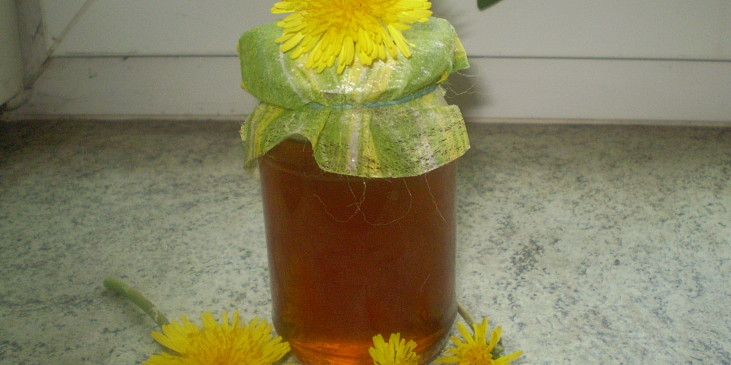 Pampeliškový med (pampeliškový med)