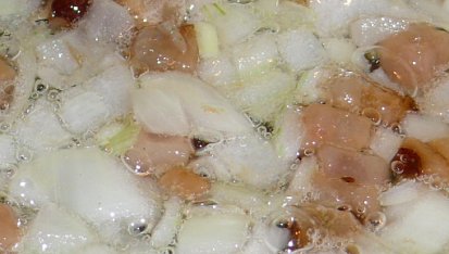 Pavliny halušky, cibulku dosklovata