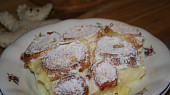 Pochoutková žemlovka