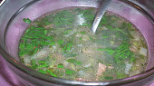 Polévka z kopřiv