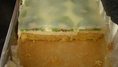 Řezy kiwi  II.