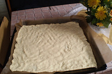těsto