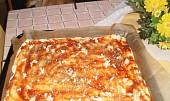 Rychlá pizza (nejen pro Vaška) (kečup a koření)