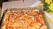 Rychlá pizza (nejen pro Vaška) (kečup a koření)