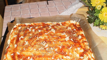 Rychlá pizza (nejen pro Vaška), kečup a koření