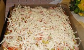 Rychlá pizza (nejen pro Vaška) (hotovo a dát péct)