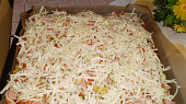 Rychlá pizza (nejen pro Vaška) (hotovo a dát péct)