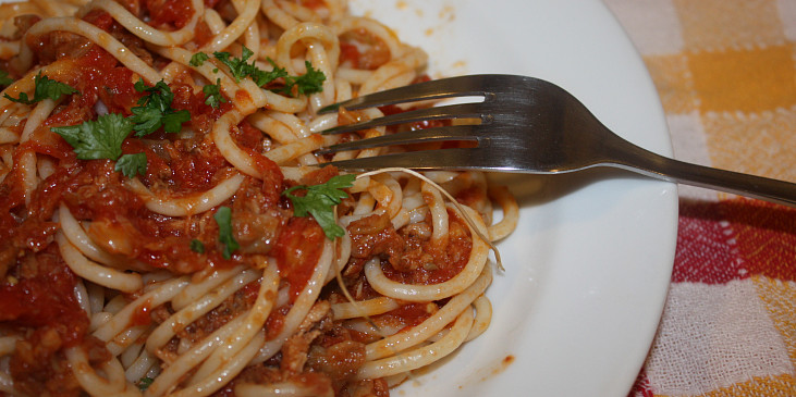 Špagety s tuňákem II. (Špagety s tuňákem II.)