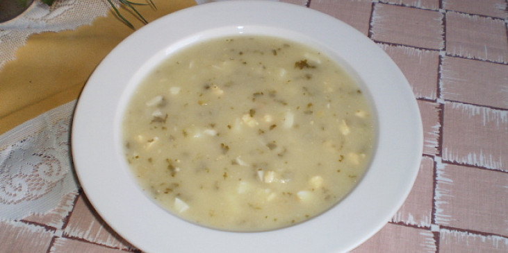 Šťovíková polévka (Štovíkovka)