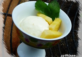 Ananasová zmrzlina