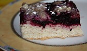 Borůvkový koláč II.