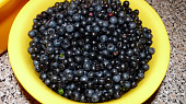 Borůvkový rychlík /i jiné drobné ovoce/, hlavní surovina