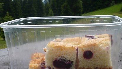 Bublanina - nadýchaná - s jakýmkoli ovocem, Velmi chutnala i na horách :-))