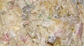 Domácí vlašáček