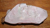 Falešný řízek