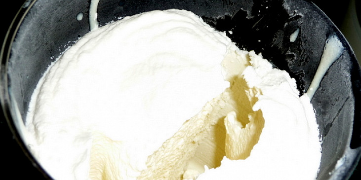 Jogurtovo – vanilková zmrzlina (....těsně po umíchání.....)