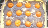 Meruňkový koláč s mákem