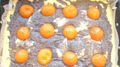 Meruňkový koláč s mákem