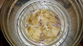 Pangasius pod vajíčkem, před zalitím